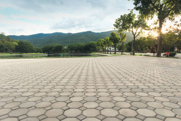 Best Affordable Driveway Pavers  in Shady Hollow, TX