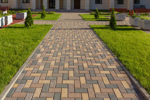 Best Driveway Paving Contractor  in Shady Hollow, TX
